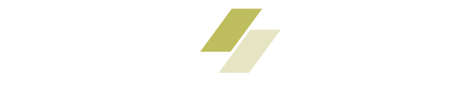 Footer Logo